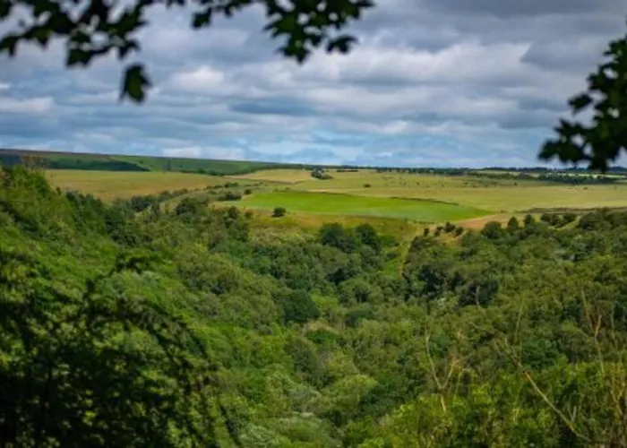 Moor View Ferienhaus Lockton